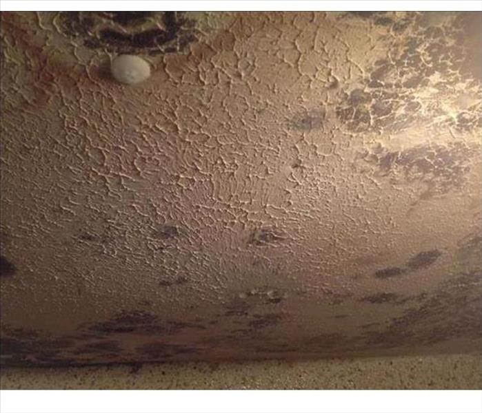 mold on ceiling