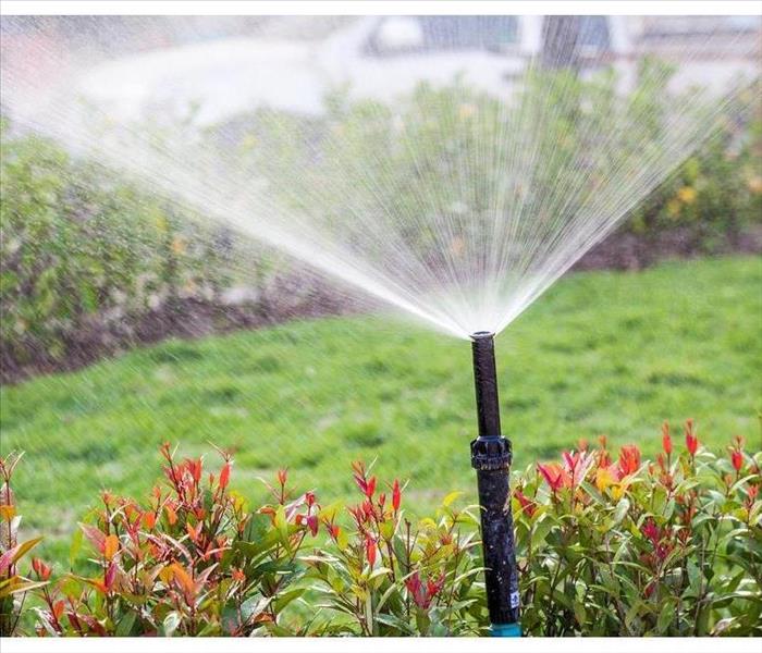 Sprinkler head of irrigation system